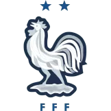 France - gojersey