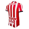 Chivas Home Jersey 2024/25 - gojersey