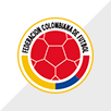 COPA AMÉRICA 2024 TEAM - gojersey