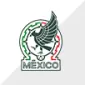 COPA AMÉRICA 2024 TEAM - gojersey