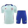 Spain Pre-Match Training Jersey Kit EURO (Jersey+Shorts) - gojersey