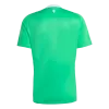 Manchester United Goalkeeper Soccer Jersey 25/26 Green - gojersey