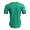 Senegal Away Soccer Jersey Authentic 2026 - gojersey