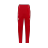 Bayern Munich Training Kit 2025/26 - Red (Jacket+Pants) - gojersey