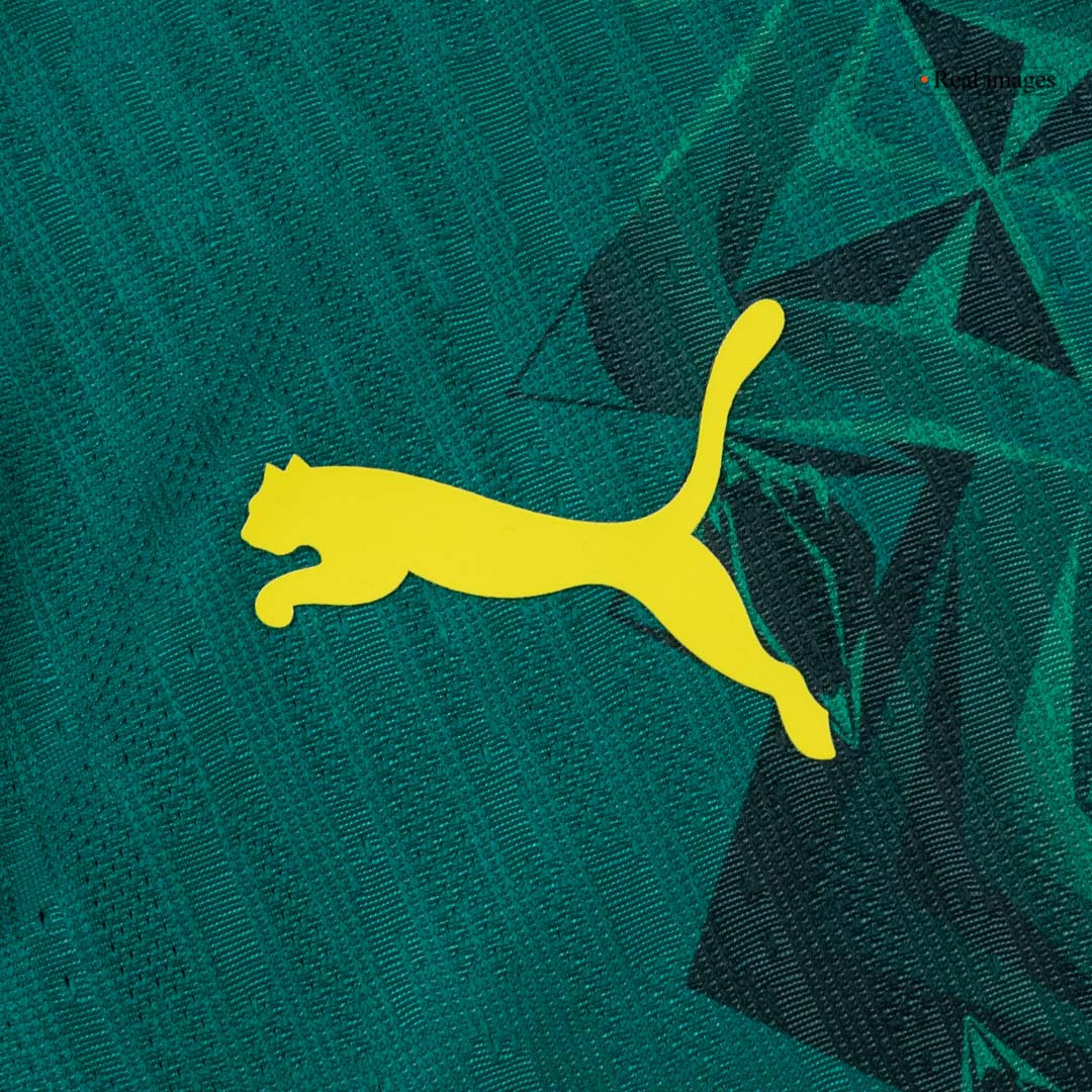 Senegal Away Soccer Jersey Authentic 2026 - gojersey