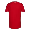 Wales Home Soccer Jersey World Cup 2026 Red - gojersey