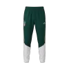 Italy Hoodie Training Kit 2026 - White (Top+Pants) - gojersey