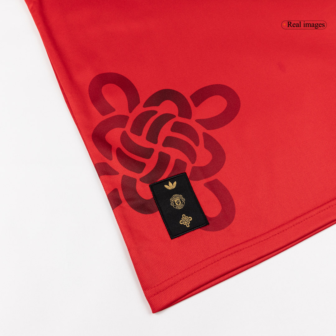 Manchester United Long Sleeve Soccer Jersey 2025/26 - gojersey