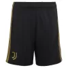 Juventus Third Away Soccer Jersey Kit 2026/27 - gojersey